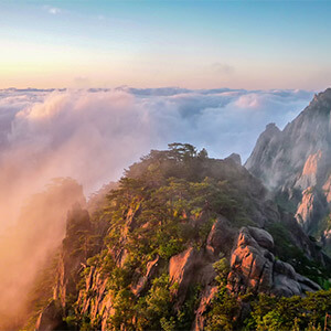 报废车辆违章不处理后果严重,无法开具证明还面临强制执行