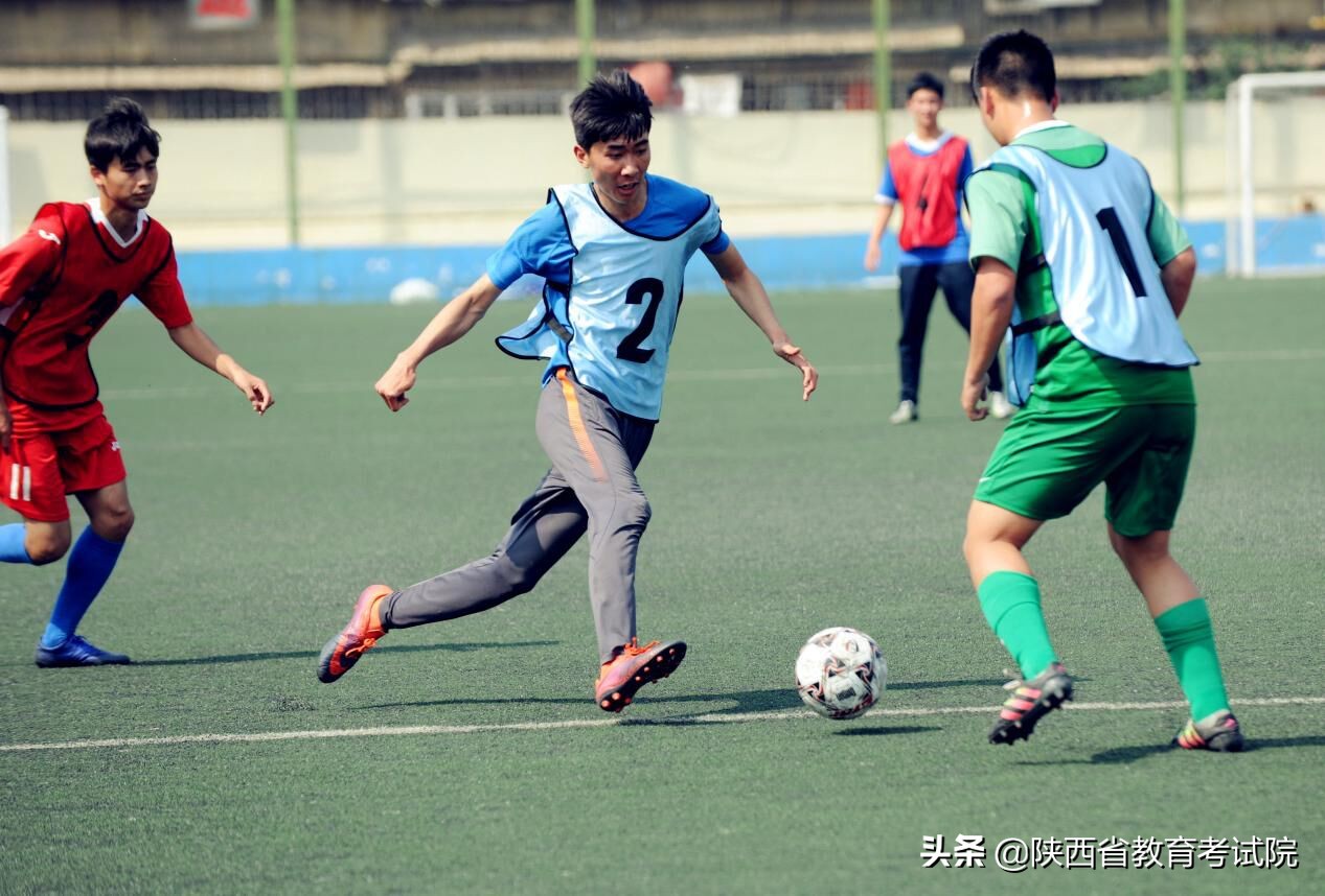 2019年陕西高考体育生:专业考试报考条件及流程全知道