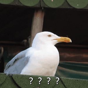 2022 年春节多家快递不打烊，快来看看停运时长及范围