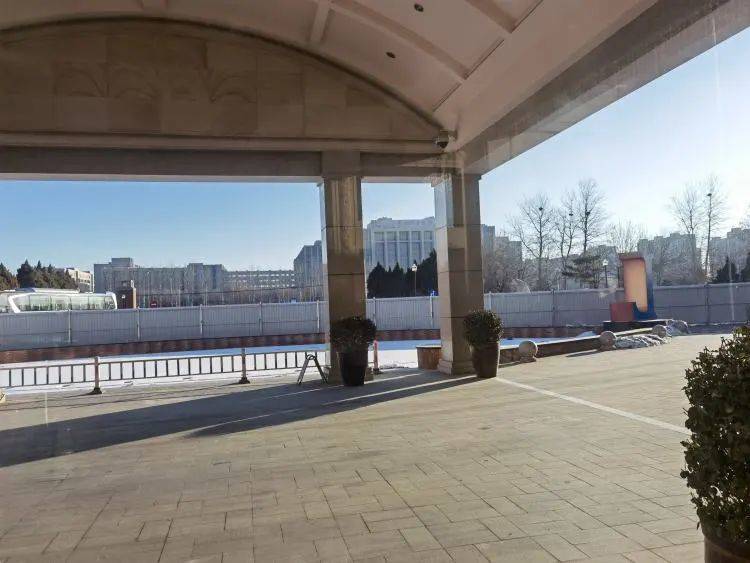 我在北京冬奥会工作的23个日日夜夜