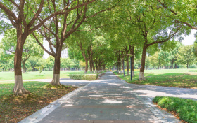 2026年各省高考加分政策及投档分一览表汇总(含加分)