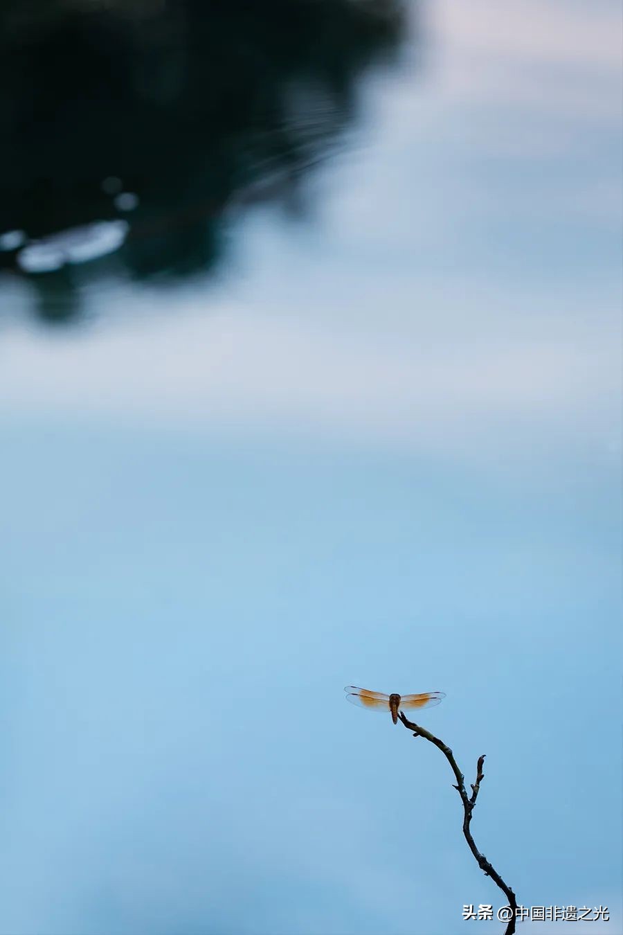 疫情影响下抑郁失眠高发 专家预警心理健康影响持续20年